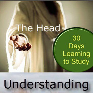 El Jefe – Entendiendo la Escritura